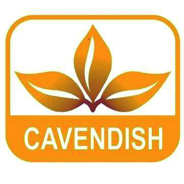 Energy Solutions, Bulk Tobacco, Tobacco Retail